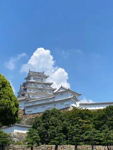 白壁と青空の城影