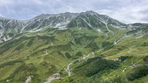 峰へ誘う緑の小径