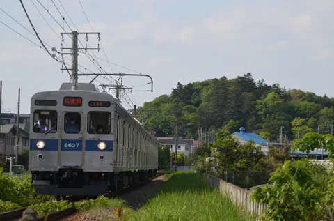 鉄路と緑のささやき