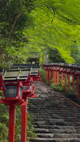 彩る石段の灯籠道