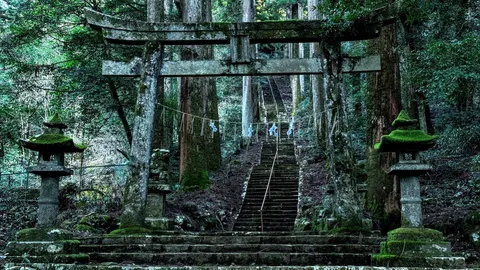 緑深き森への誘い、石段の先に