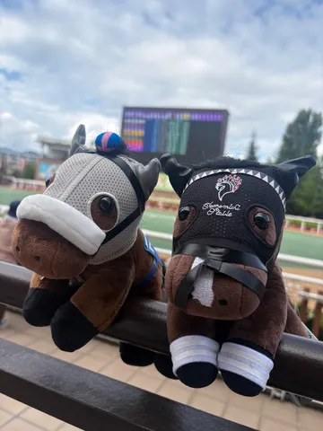 競馬場の応援団？