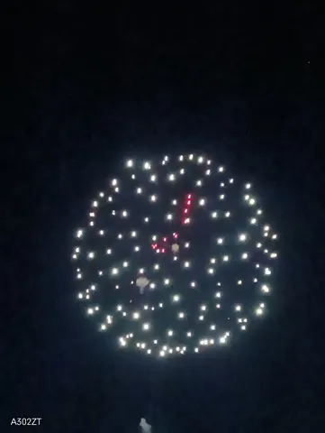 夜空に咲く光の華