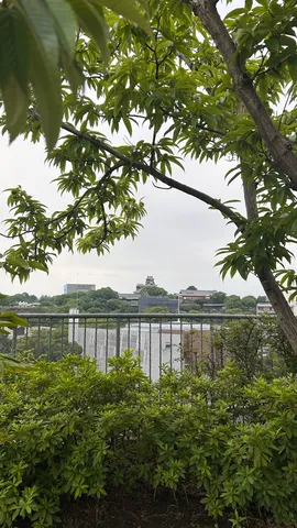 緑の葉に隠された古城の眺め