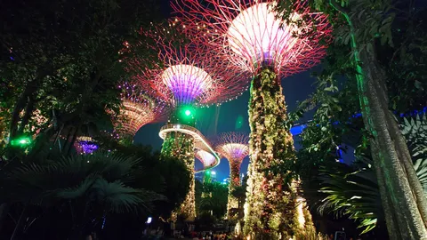 夜空に咲く幻想の樹