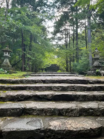 苔むす石段、緑深き参道