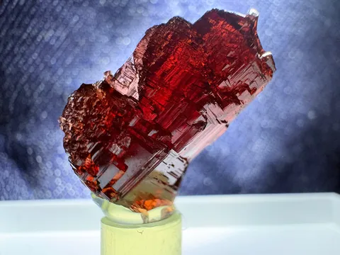 深紅の結晶、光を宿す