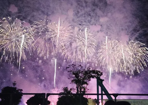 紫に染まる夜空の花火
