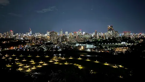 夜景と公園の灯りが踊る