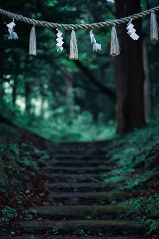 緑の参道と風の札
