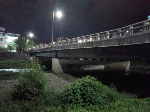 夜の橋に灯が揺れる