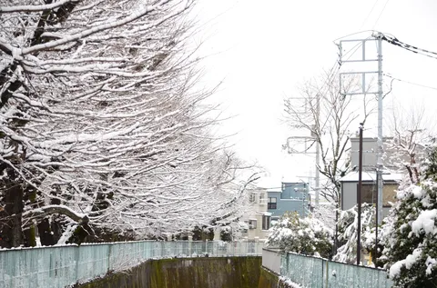 静寂を纏う雪景色