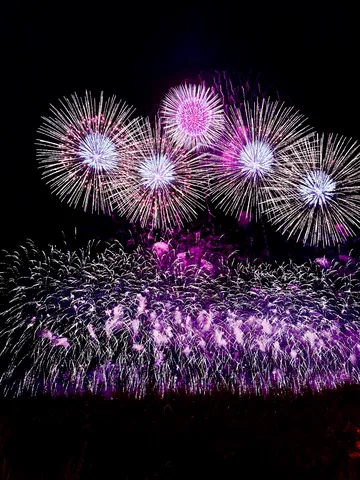 夜空を彩る光の芸術