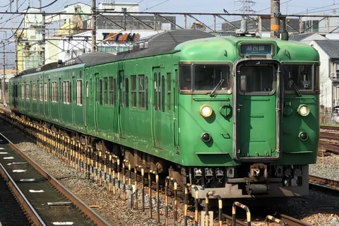 鮮やかな緑、線路を往く