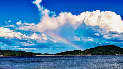 碧空に架かる七色の橋