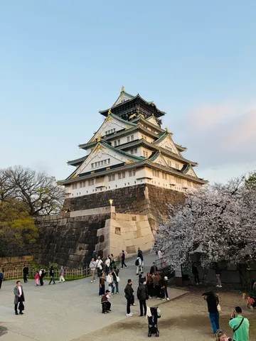 桜と古城、春の息吹