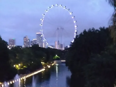 都会の夜景に浮かぶ観覧車
