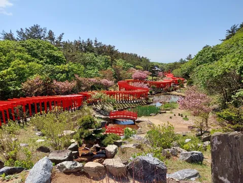 鳥居と桜のトンネル