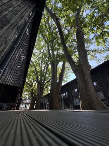 木陰に広がる静かな空気