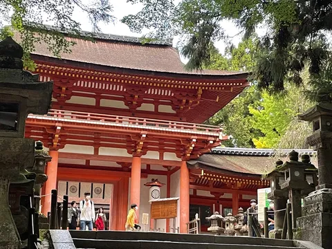 新緑と朱色のコントラスト