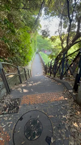 緑深まる静かな坂道