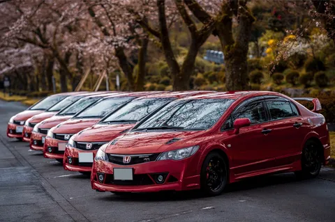 桜並木に揃った赤い衝撃