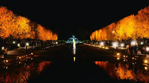 秋の夜長の幻想的な水辺
