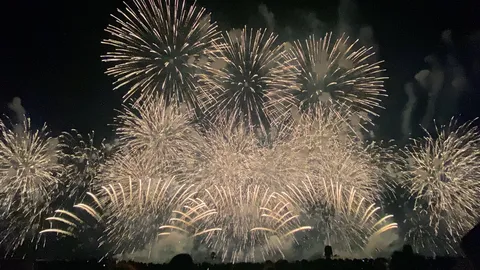 夜空を彩る光の芸術