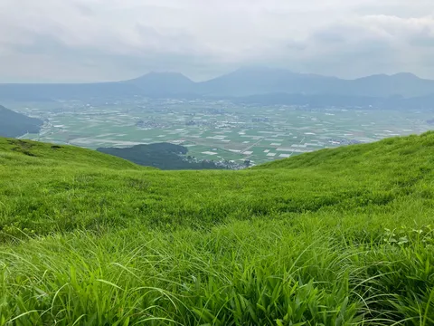 緑の丘から眺める大地