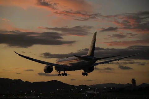 茜空に舞い降りる翼