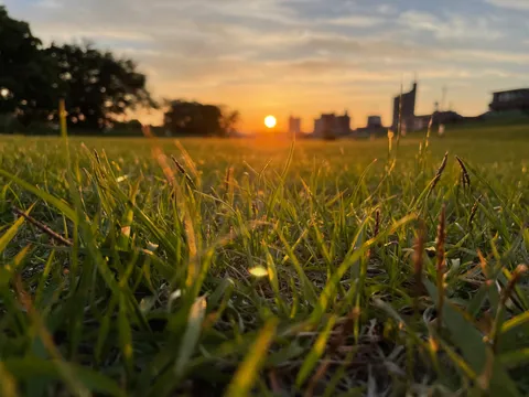 草の息吹、夕陽のグラデーション