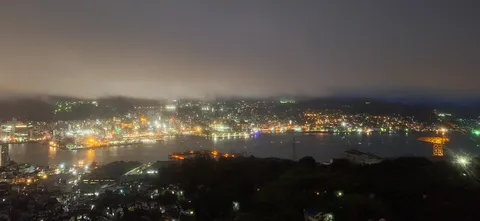 夜景に灯る、都会の光の川