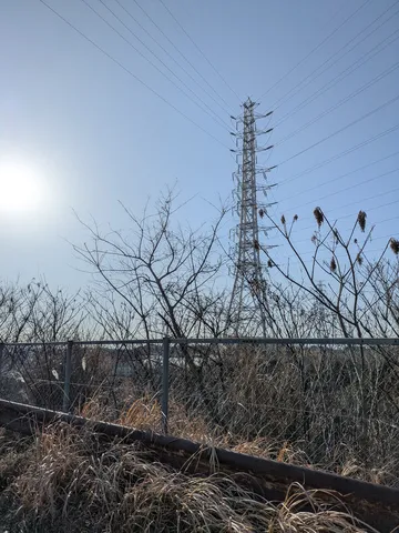 陽光あたる鉄塔と枯れ野