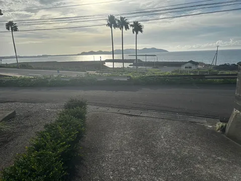 ヤシの木と海、穏やかな午後の海岸線