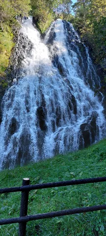 緑と水の滝の囁き