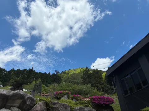 緑と青空、そしてリゾートの休日