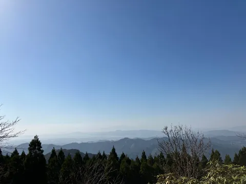 遠くの街と深い森のグラデーション
