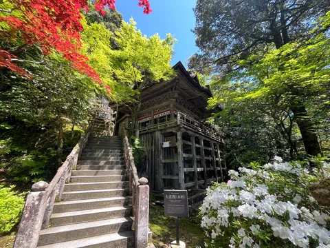 緑と赤、石段のコントラスト