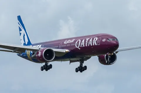 大空を舞う、特別な翼