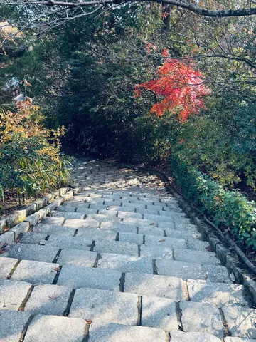 石段に落ちる木漏れ日の道