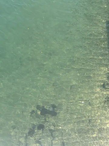 水底探検、遭遇注意！