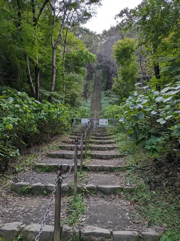緑に包まれる長大な石段