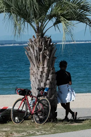 海辺の木陰と自転車