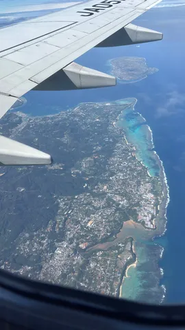 翼とエメラルドの海岸線