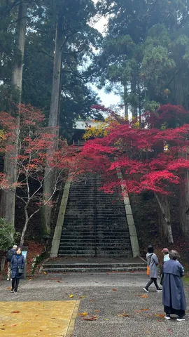 錦秋に染まる石段