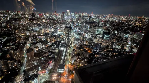 光の海に広がる都市の夜景