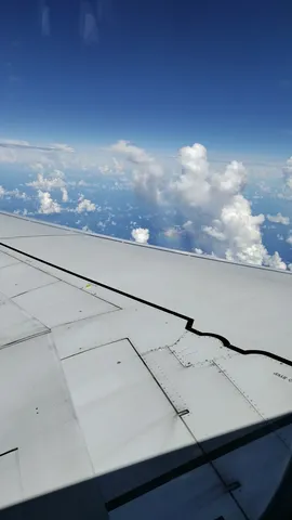 飛行機から見下ろす雲は