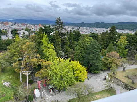 緑と街並みのコントラスト