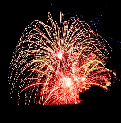 夜空を埋め尽くす光の祝宴