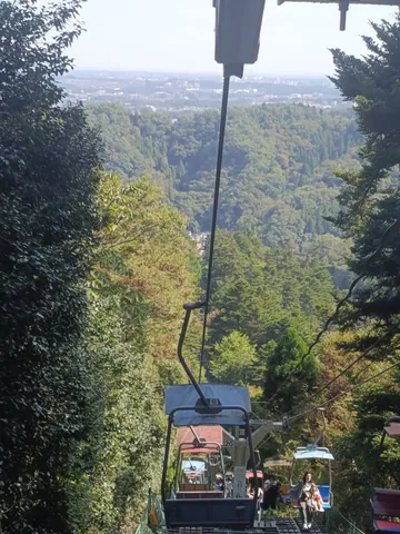 樹海を縫うリフトの風景